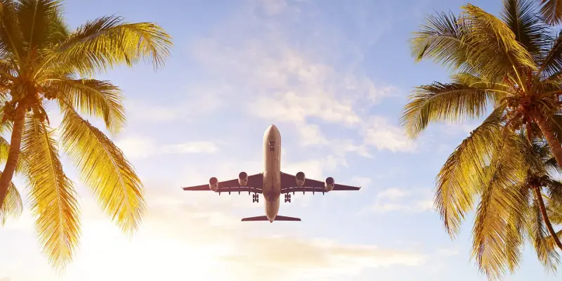 Aeroplane over palm trees